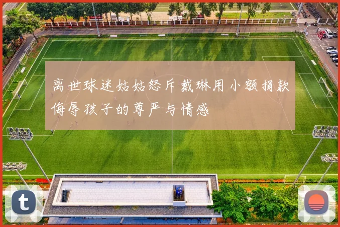 离世球迷姑姑怒斥戴琳用小额捐款侮辱孩子的尊严与情感