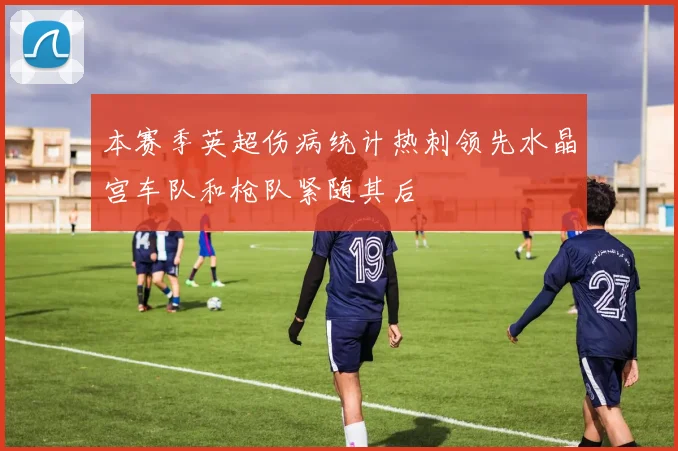 本赛季英超伤病统计热刺领先水晶宫车队和枪队紧随其后
