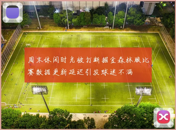 周末休闲时光被打断掘金森林狼比赛数据更新延迟引发球迷不满